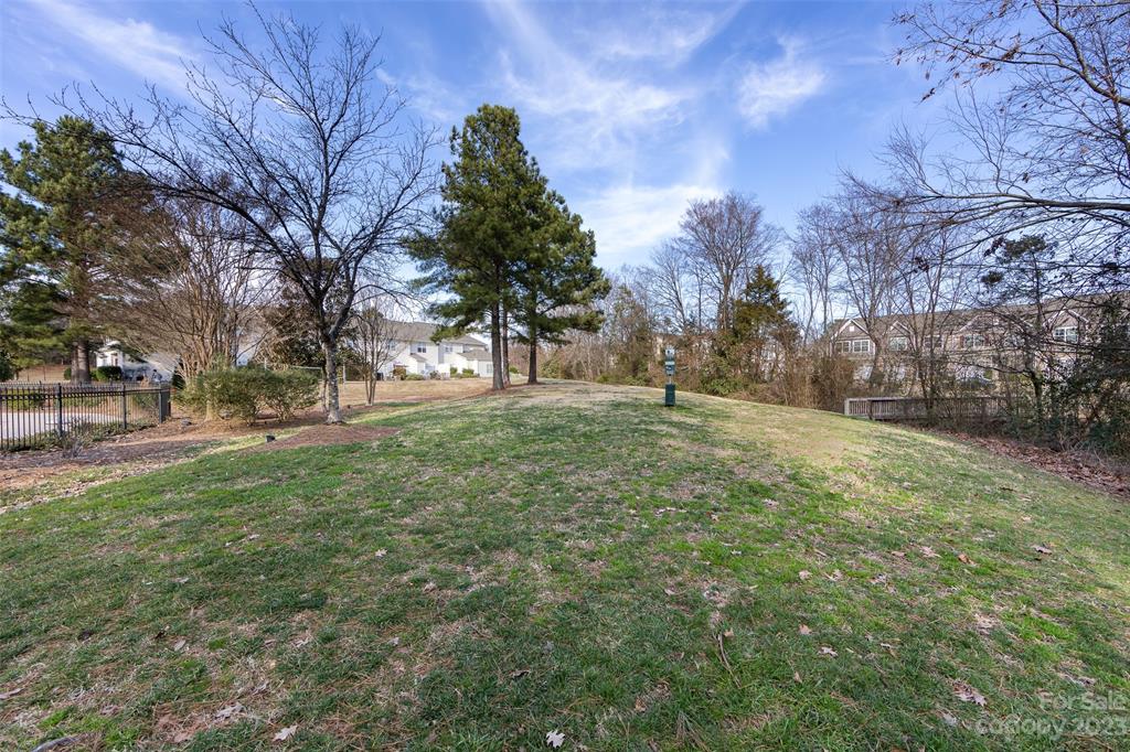 13235 Savannah Point Drive Charlotte NC 28273
