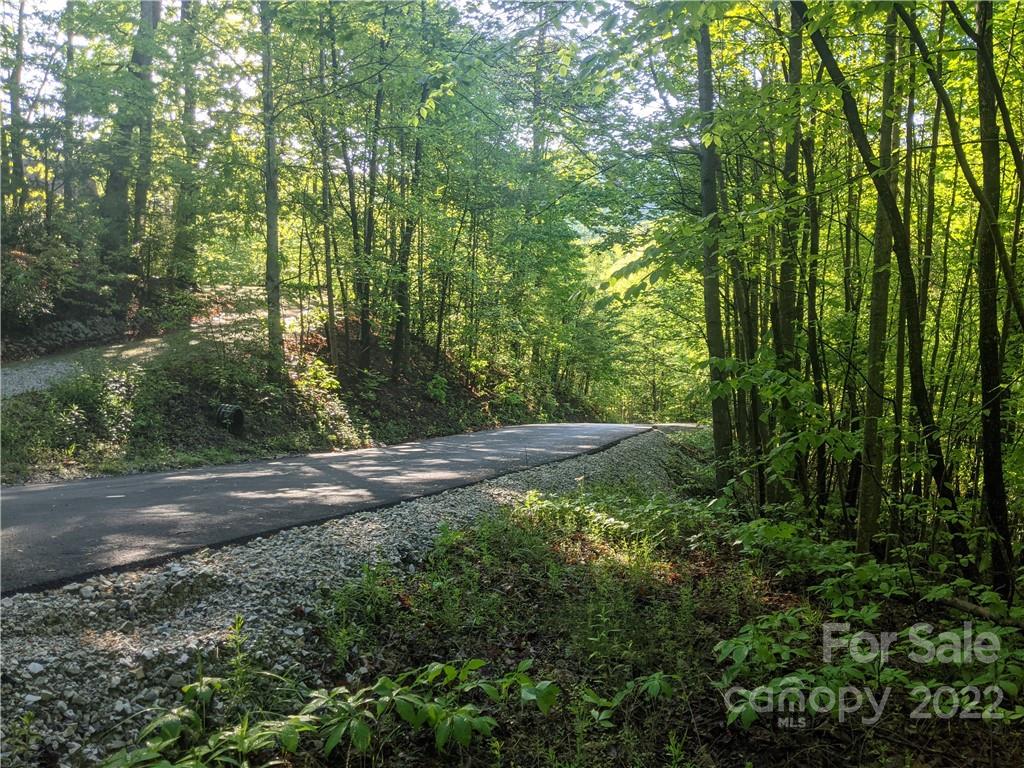 TBD Wild Cherry Lane Old Fort NC 28762
