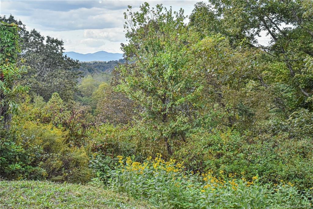 73 Goodman Road Asheville NC 28804