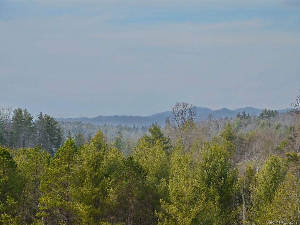 50 Elkins Branch Road Weaverville NC 28787