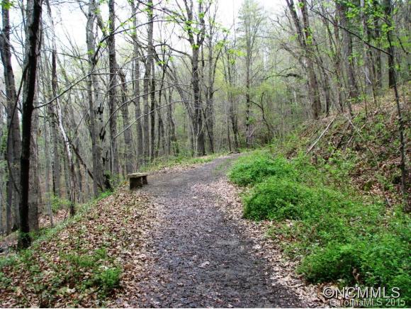 137 White Fawn Drive Asheville NC 28801