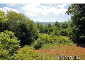 1745 Dutch Cove Road Canton NC 28716