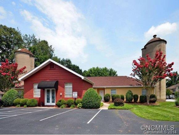 167 Farm Lane Mills River NC 28759
