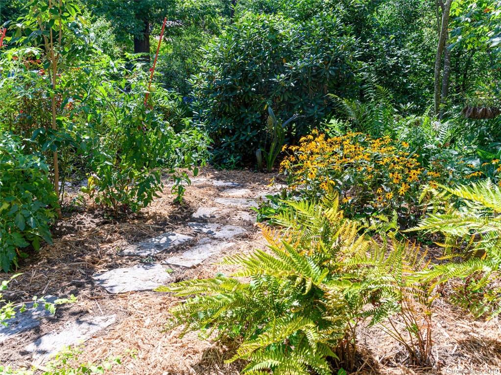 33 Caledonia Road Asheville NC 28803