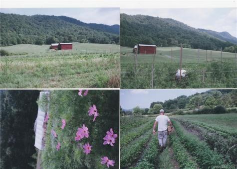 402 North Fork Road Barnardsville NC 28709