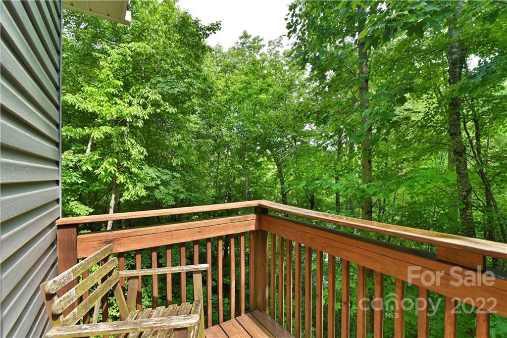 5 Goodman Road Asheville NC 28804