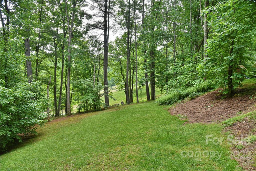 5 Goodman Road Asheville NC 28804