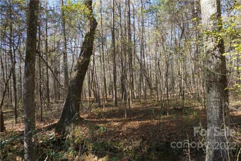 10.64 Ac Burree Road Clover SC 29710