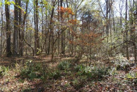 10.64 Ac Burree Road Clover SC 29710