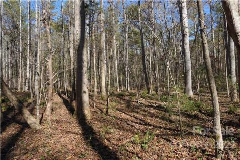 10.64 Ac Burree Road Clover SC 29710