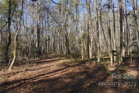 10.64 Ac Burree Road Clover SC 29710