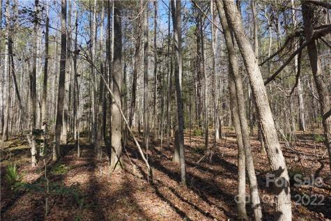 10.64 Ac Burree Road Clover SC 29710