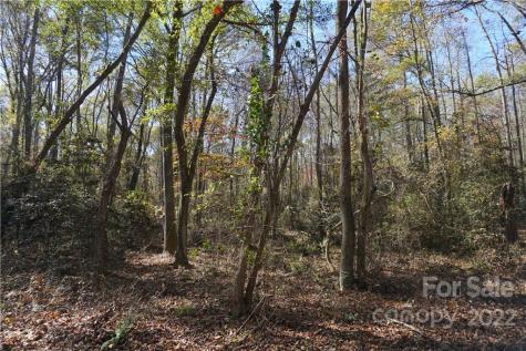 10.64 Ac Burree Road Clover SC 29710