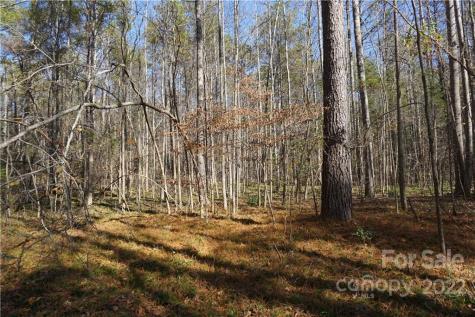 10.64 Ac Burree Road Clover SC 29710