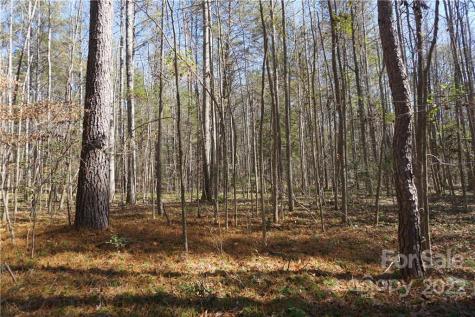 10.64 Ac Burree Road Clover SC 29710
