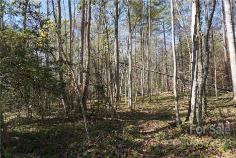 10.64 Ac Burree Road Clover SC 29710