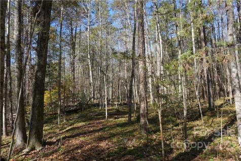 10.64 Ac Burree Road Clover SC 29710