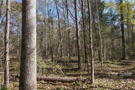 10.64 Ac Burree Road Clover SC 29710