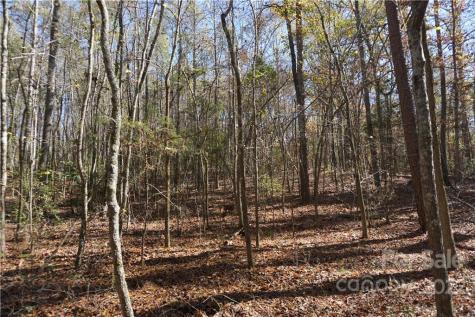 10.64 Ac Burree Road Clover SC 29710