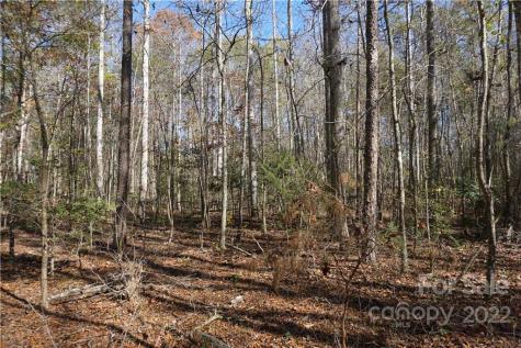 10.64 Ac Burree Road Clover SC 29710