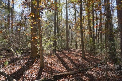 10.64 Ac Burree Road Clover SC 29710