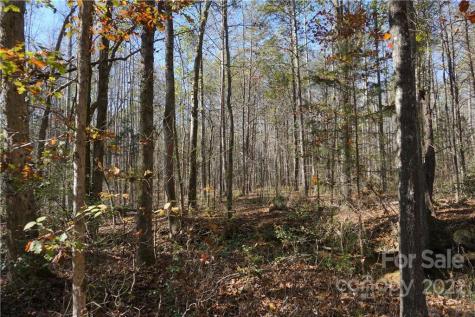 10.64 Ac Burree Road Clover SC 29710