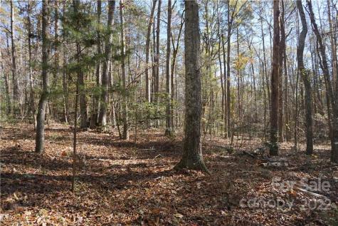 10.64 Ac Burree Road Clover SC 29710