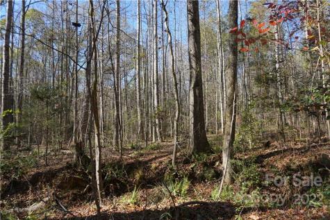 10.64 Ac Burree Road Clover SC 29710
