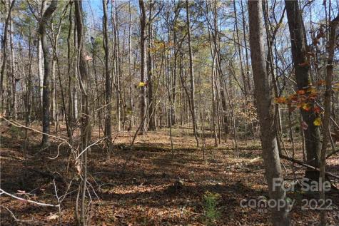 10.64 Ac Burree Road Clover SC 29710