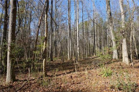 10.64 Ac Burree Road Clover SC 29710