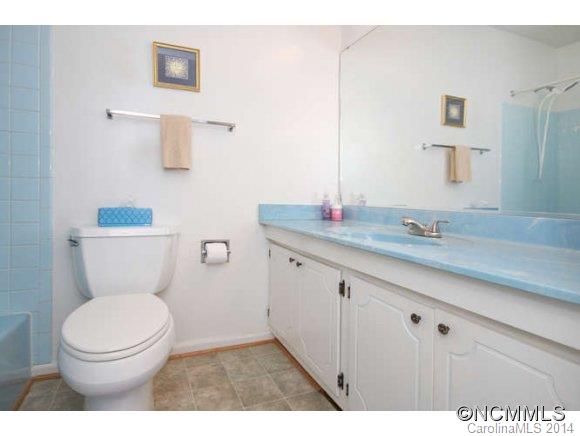 10 Botany Court Asheville NC 28805
