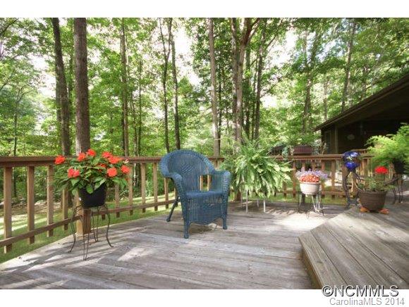 10 Botany Court Asheville NC 28805