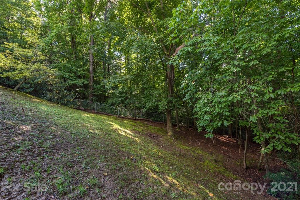 31 Bear Trail Fairview NC 28730