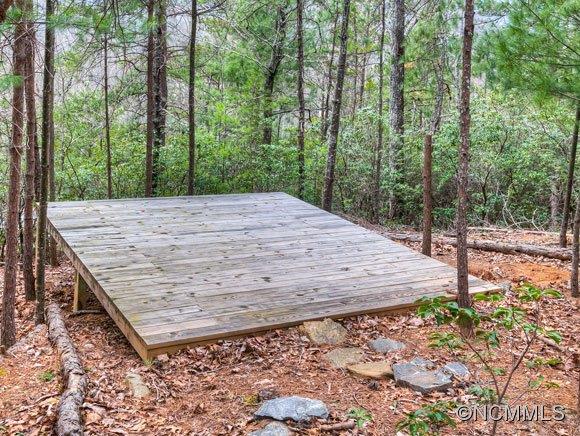 36 Lynx Drive Black Mountain NC 28711