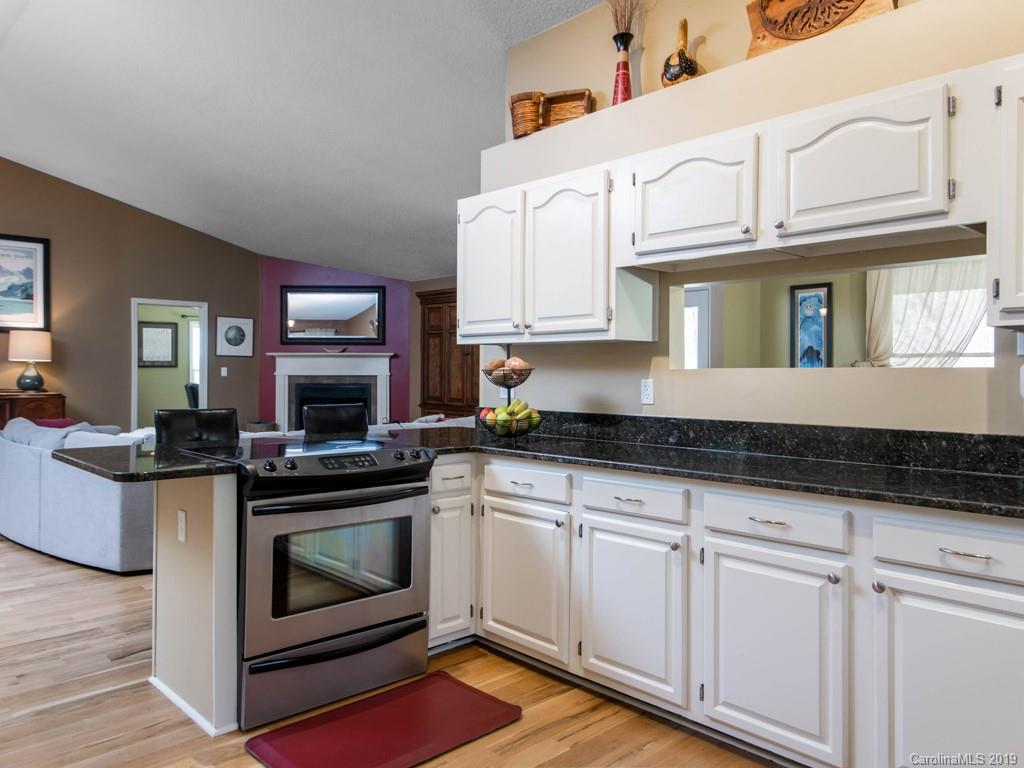 213 Blue Ridge Vista Asheville NC 28805