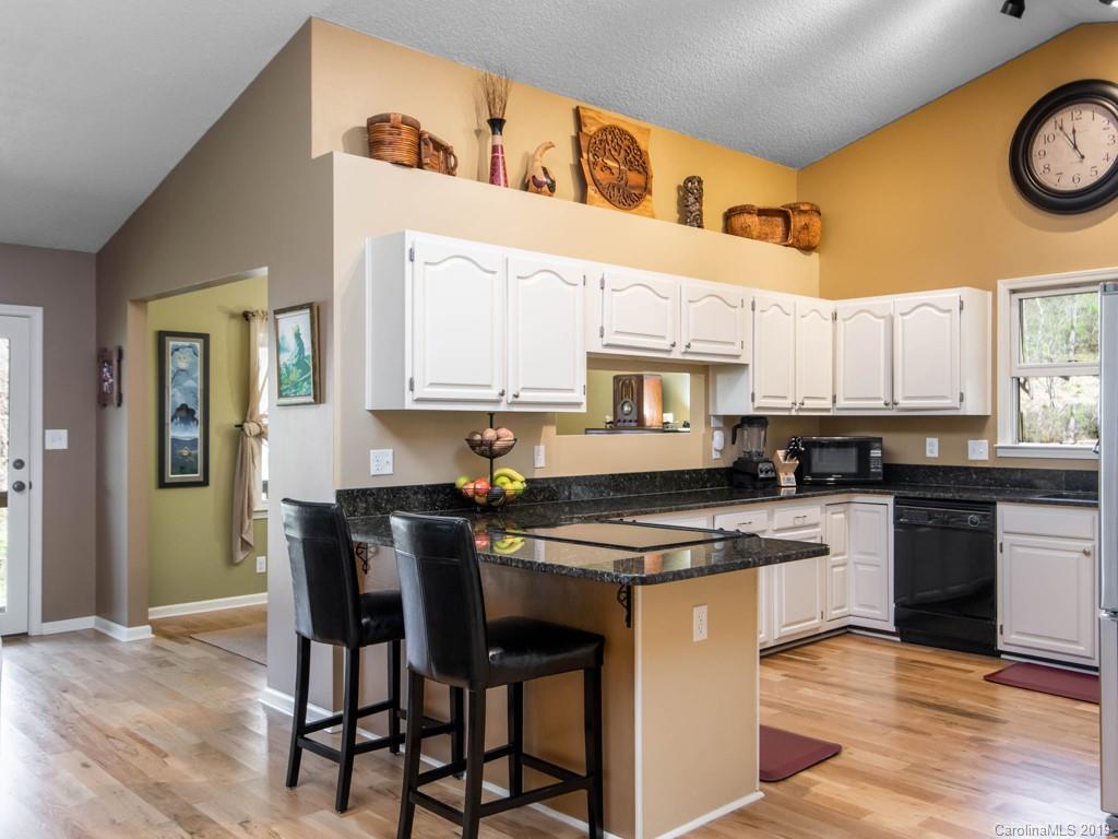 213 Blue Ridge Vista Asheville NC 28805
