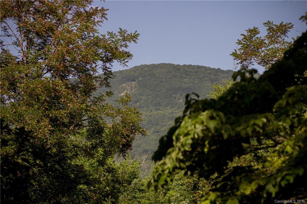 10 Hookers Gap Road Leicester NC 28748