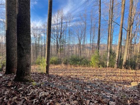 3024 Cane Creek Road Bakersville NC 28705