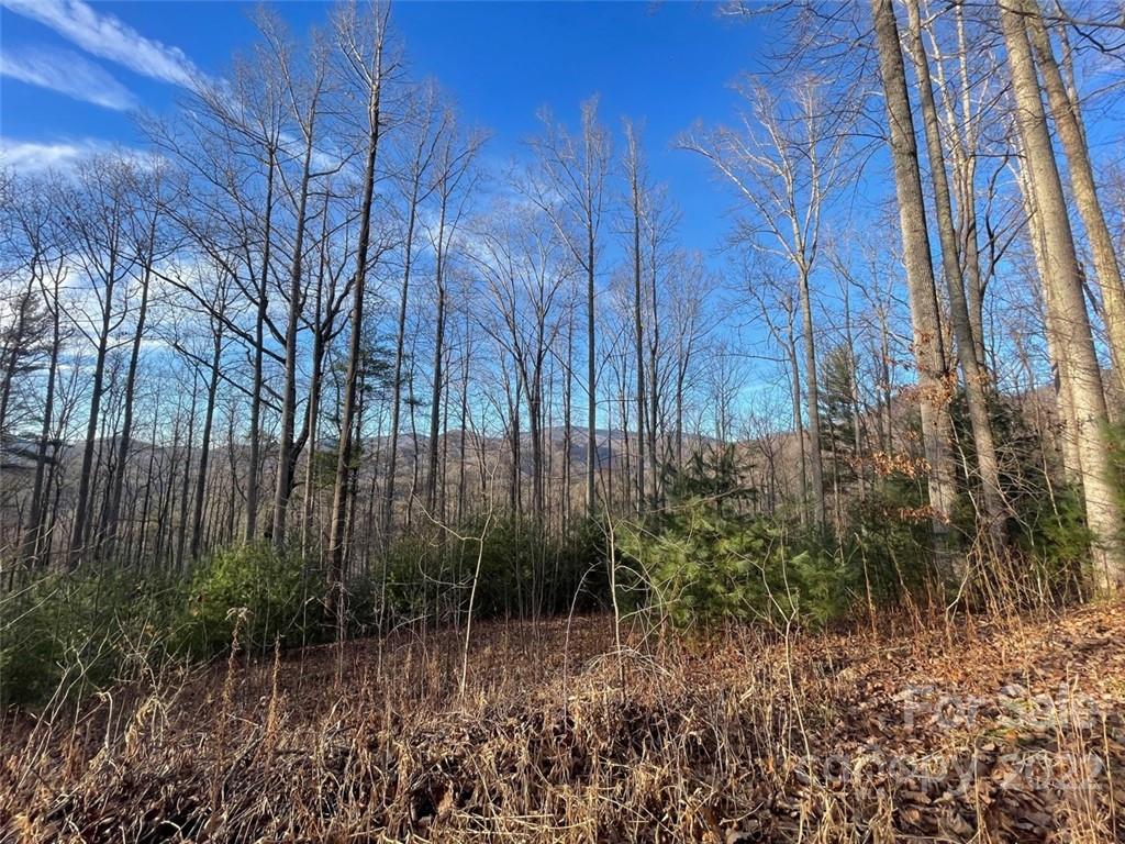 3024 Cane Creek Road Bakersville NC 28705