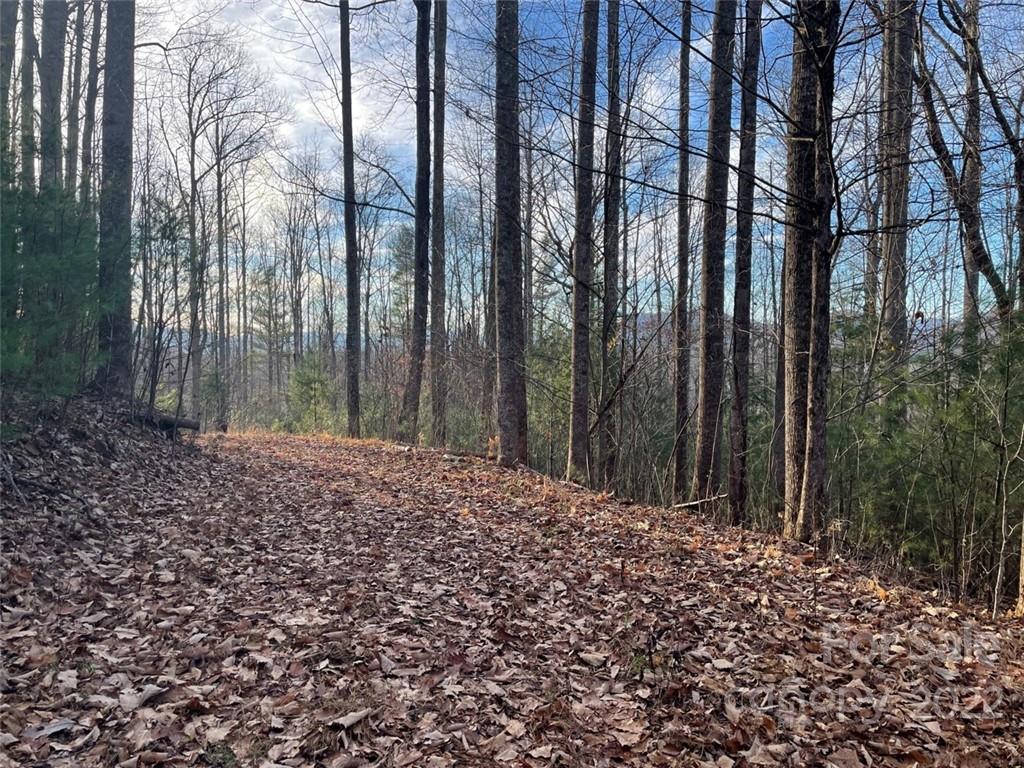 3024 Cane Creek Road Bakersville NC 28705