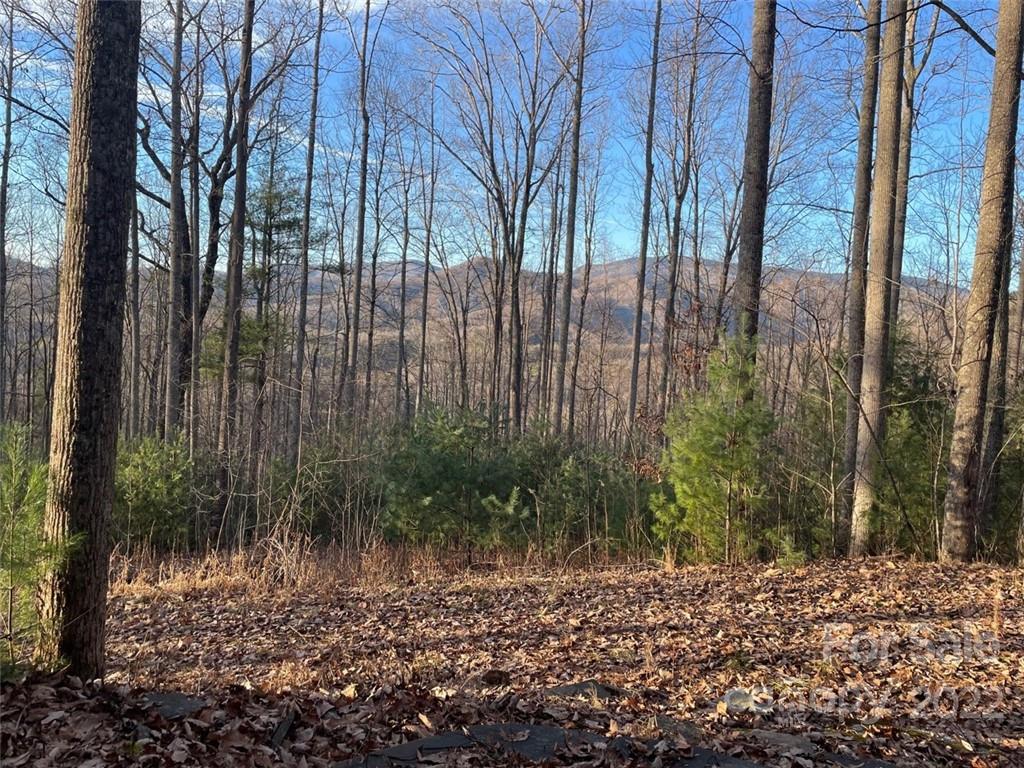 3024 Cane Creek Road Bakersville NC 28705