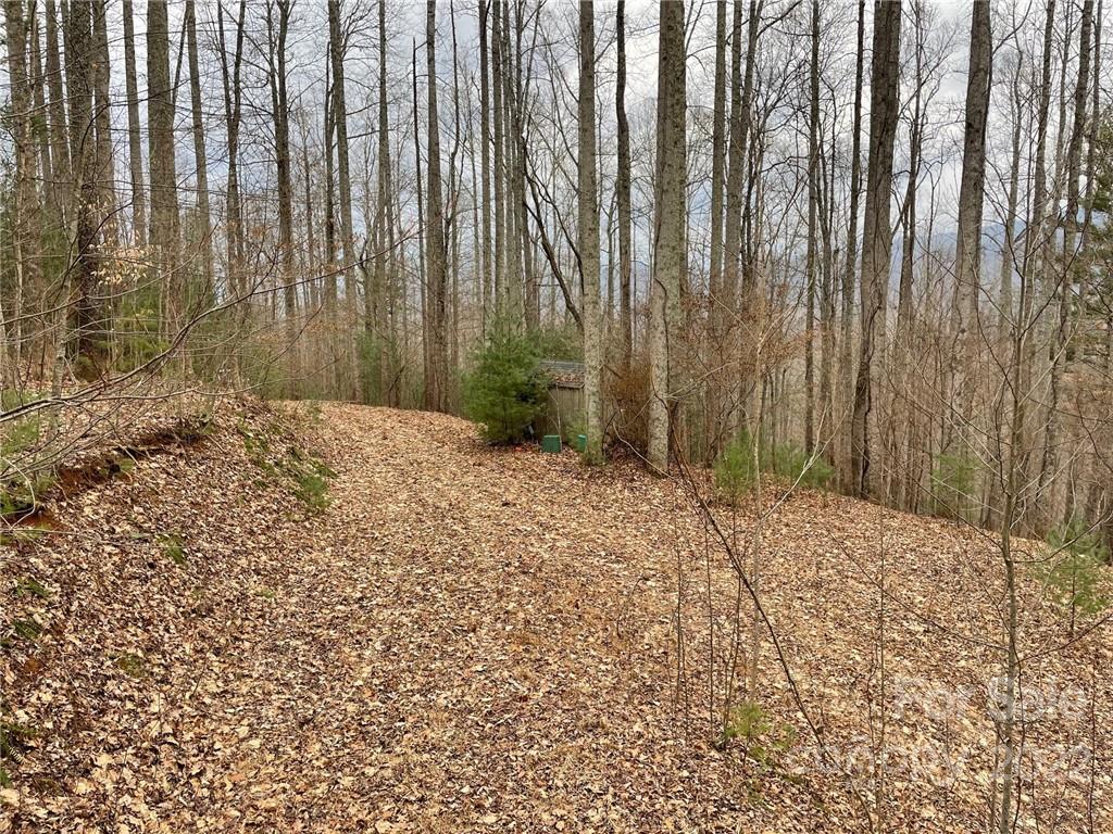 3024 Cane Creek Road Bakersville NC 28705