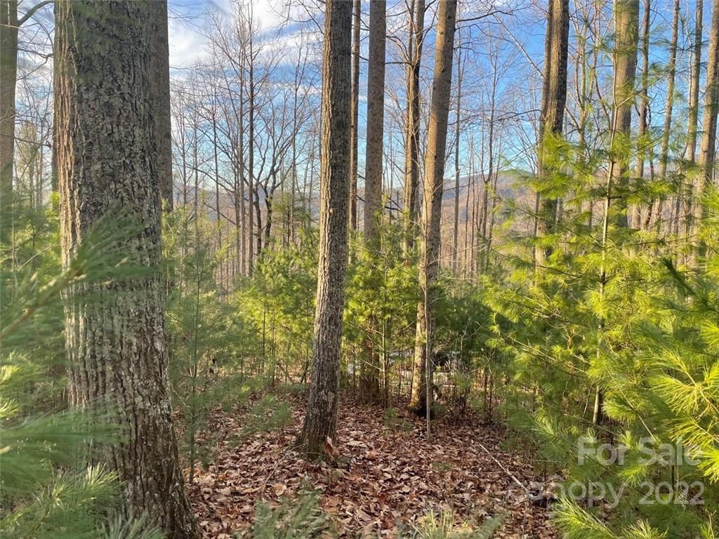 3024 Cane Creek Road Bakersville NC 28705