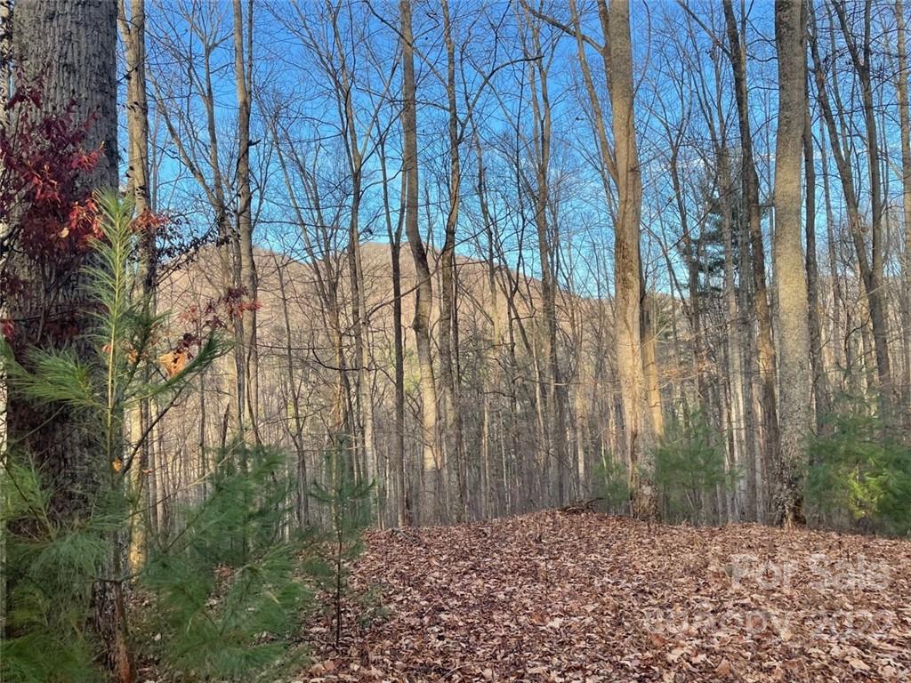 3024 Cane Creek Road Bakersville NC 28705