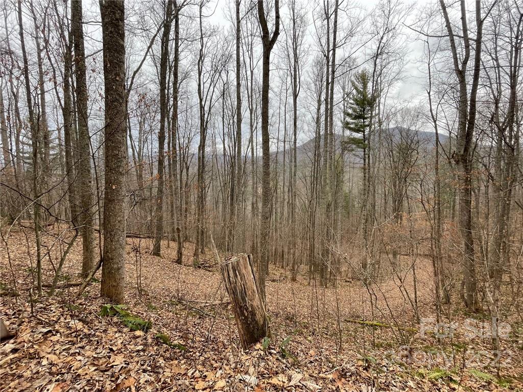 3024 Cane Creek Road Bakersville NC 28705