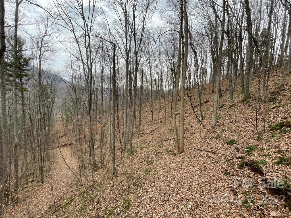 3024 Cane Creek Road Bakersville NC 28705