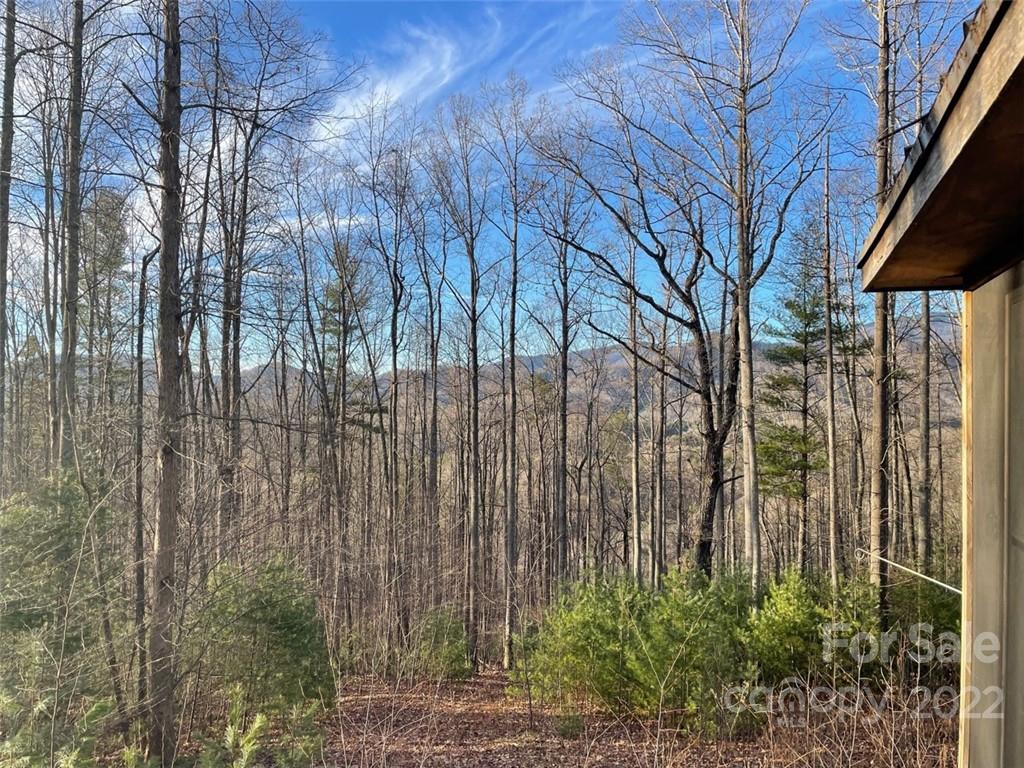 3024 Cane Creek Road Bakersville NC 28705