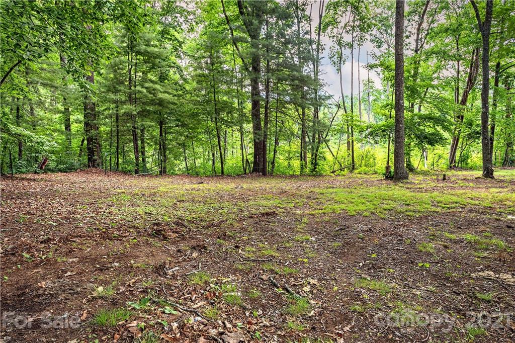 49 Corvette Drive Candler NC 28715