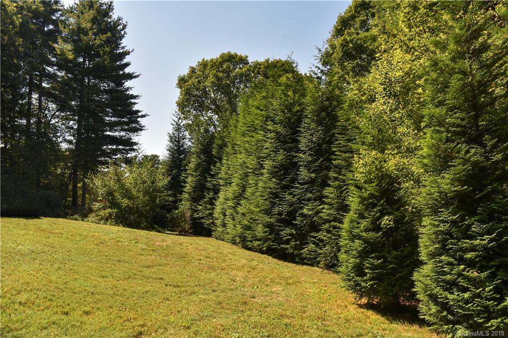 132 George Chastain Road Mills River NC 28759