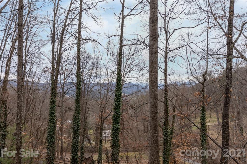 107 Pink Fox Cove Road Weaverville NC 28787